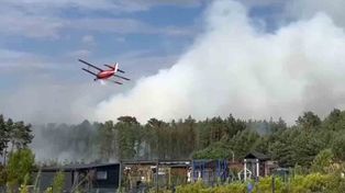 Płonie las w Zielonej Górze. Strażacy walczą z żywiołem