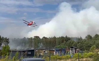 Płonie las w Zielonej Górze. Strażacy walczą z żywiołem