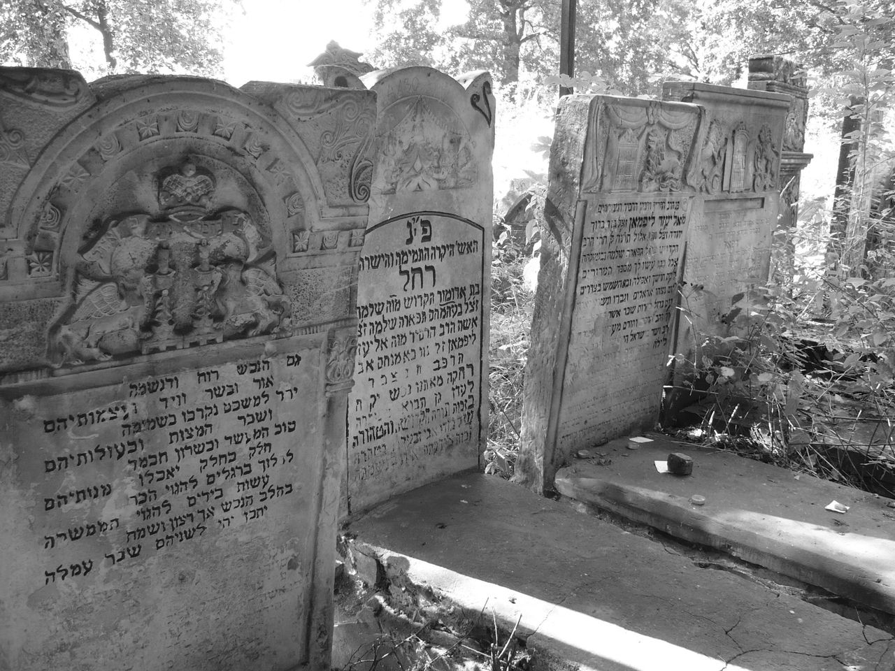 Radomsk: Spacer historyczny po Cmentarzu Żydowskim. Udział wzięło blisko 70 osób!