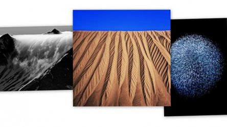 Polacy nagrodzeni w European Wildlife Photographer of the Year 2009 1