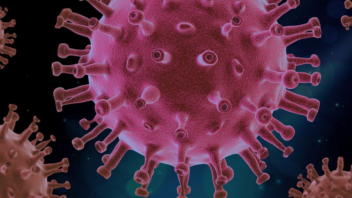 Nowy szczep wirusa świńskiej grypy mógłby wywołać pandemię