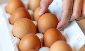 Wystarczy niewielka zmiana, a jajka dłużej zachowają świeżość. Koniecznie wypróbuj