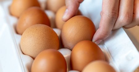 Wystarczy niewielka zmiana, a jajka dłużej zachowają świeżość. Koniecznie wypróbuj