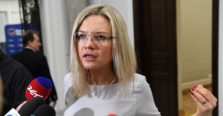 "Wybuch" Wassermann. Brejza ma teorię