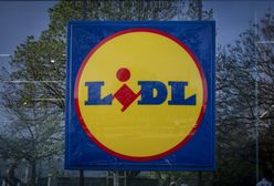 Lidl szuka ponad 300 pracowników. Oto ile oferuje na start