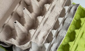 Gdzie wyrzucać opakowanie po jajkach? Błąd jest nagminny