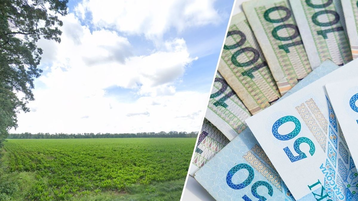 Ruszają przetargi KOWR w Wielkopolsce. Ziemie od 10 do 63 ha
