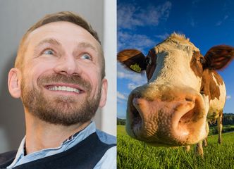 Przemek Kossakowski przeżył... ATAK KROWY! "Do dziś dumam, jak to się stało, że nadal żyję"