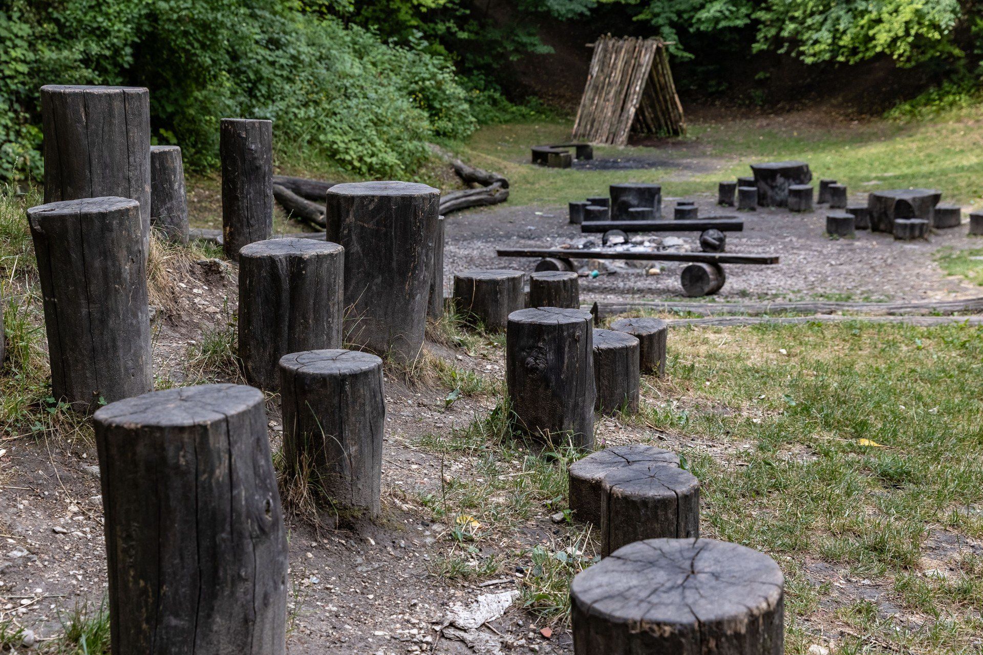 W Lesie Witkowickim na odwiedzających czekają m.in.: ścieżka przyrodnicza, naturalny plac zabaw, polana wypoczynkowa wyposażona w stoły piknikowe