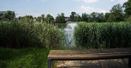 Wrocław. Pogoda. 22 lipca - kolejny dzień słonecznej pogody. W piątek burze