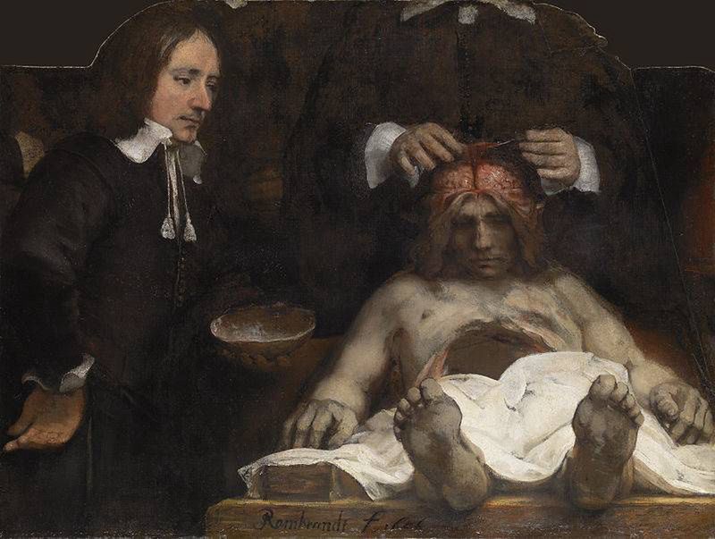W roku 1656 Rembrandt namalował Lekcję anatomii doktora Dejmana, ucznia Nicholasa Tulpa, na którym widać już otwartą jamę brzuszną, a także mózg.