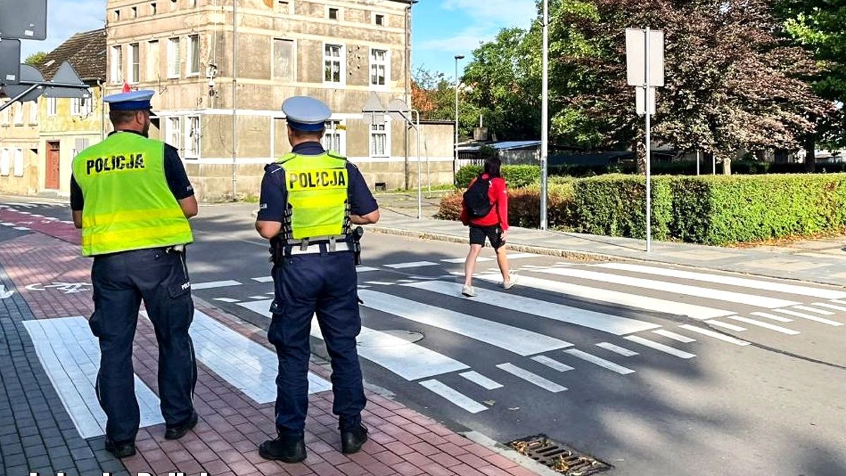 Nie każdy zna przepisy o pierwszeństwie pieszych