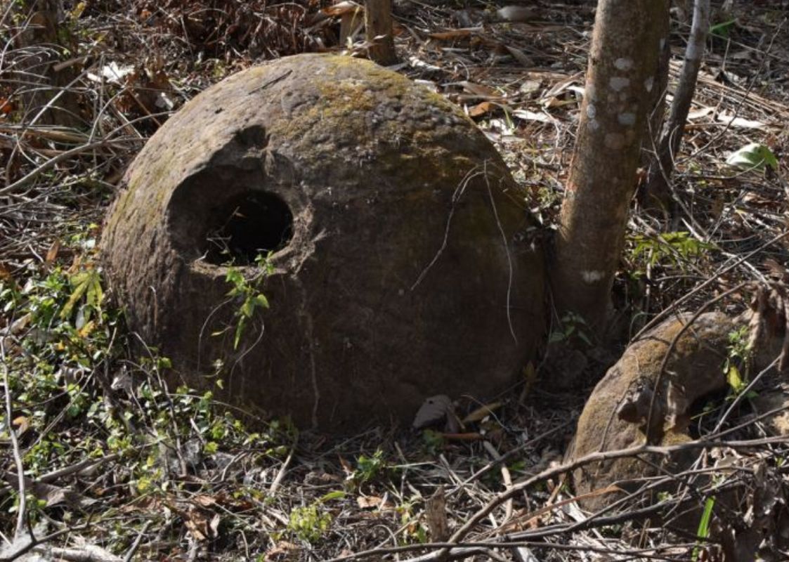 Niezwykłe odkrycie w Assam. Zdaniem archeologa to "nieznana cywilizacja"