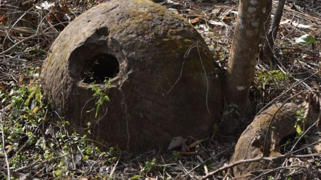 Tajemnicze słoje z Assam w Indiach.