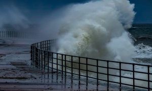 Sztorm uderzył w Szwecję. Jedna ofiara śmiertelna i wiele zniszczeń