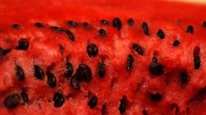 Pojedziemy na arbuzach? 1