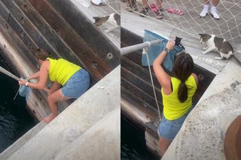 Polka bohaterką w Dubaju. Film ma blisko 800 tys. wyświetleń