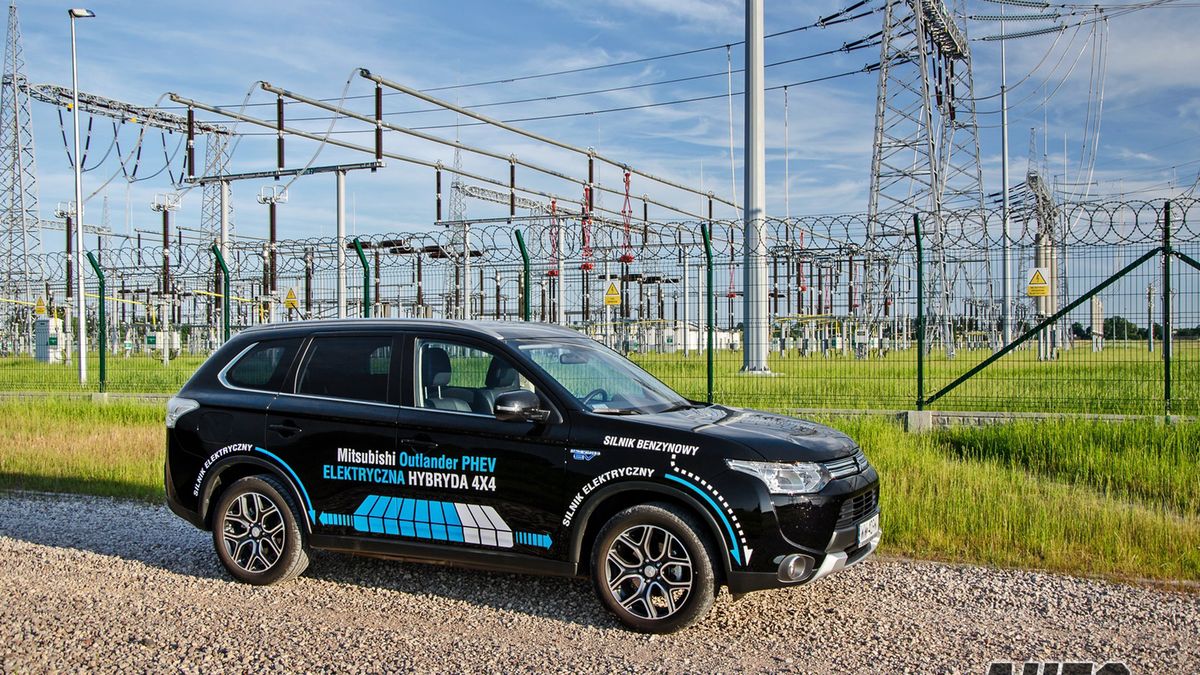 Zdjęcie ilustracyjne do artykułu