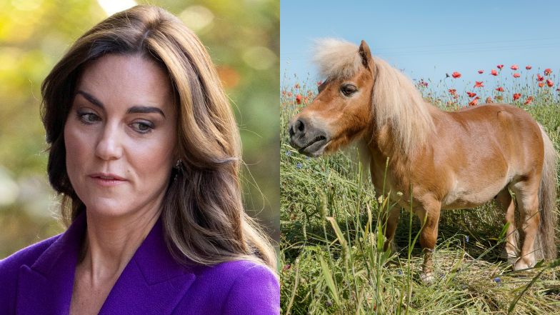 Przyjaciel royalsów zabrał głos. Zdradza, kiedy wróci Kate Middleton