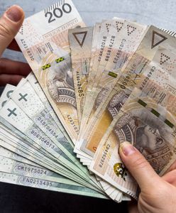 Polacy ruszyli po pieniądze. Ponad 600 tys. wniosków