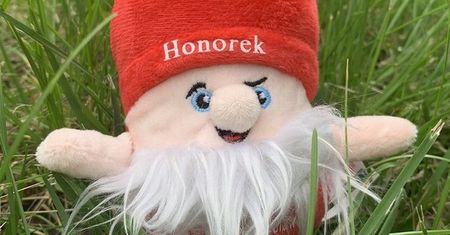 Wrocław. Wakacyjna zbiórka krwi. Można dostać pluszowego "Honorka"