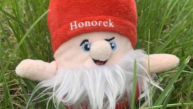 Wrocław. Wakacyjna zbiórka krwi. Można dostać pluszowego "Honorka"
