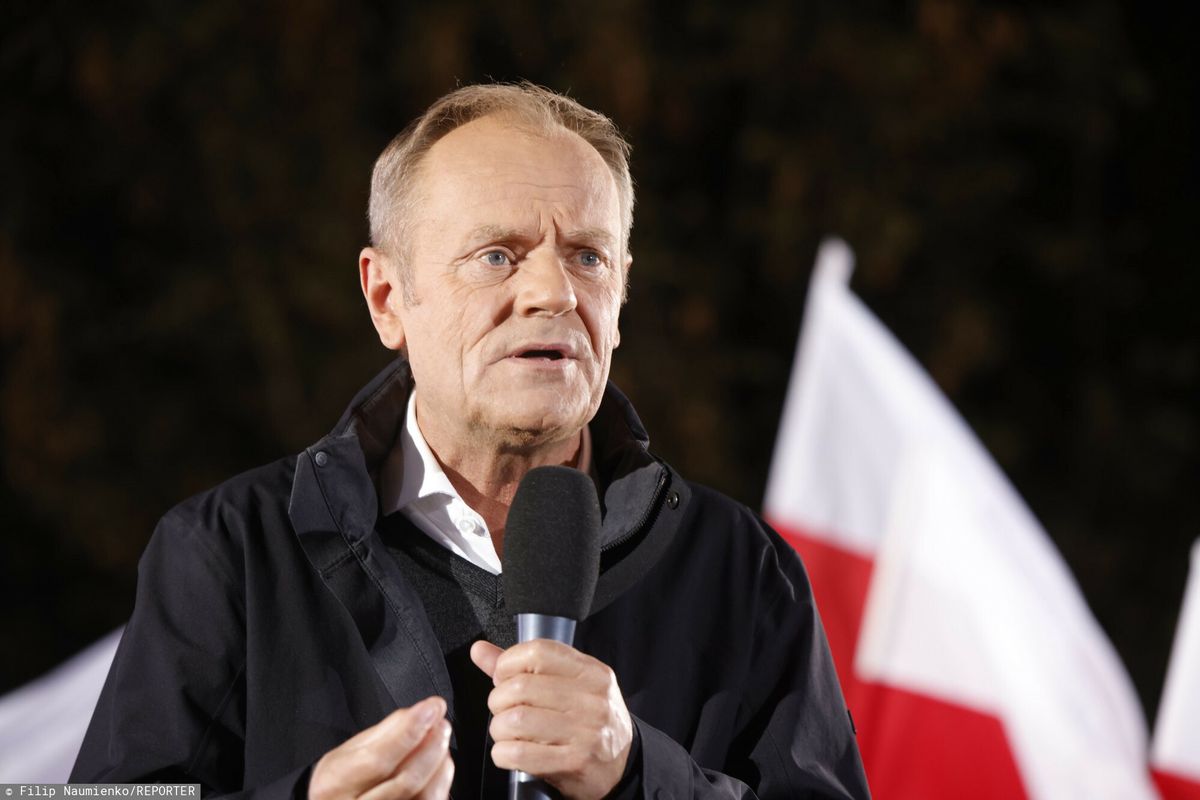 Donald Tusk, szef PO