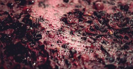 Najzdrowsze owoce dla serca i mózgu. Obniżają cholesterol, chronią przed miażdżycą