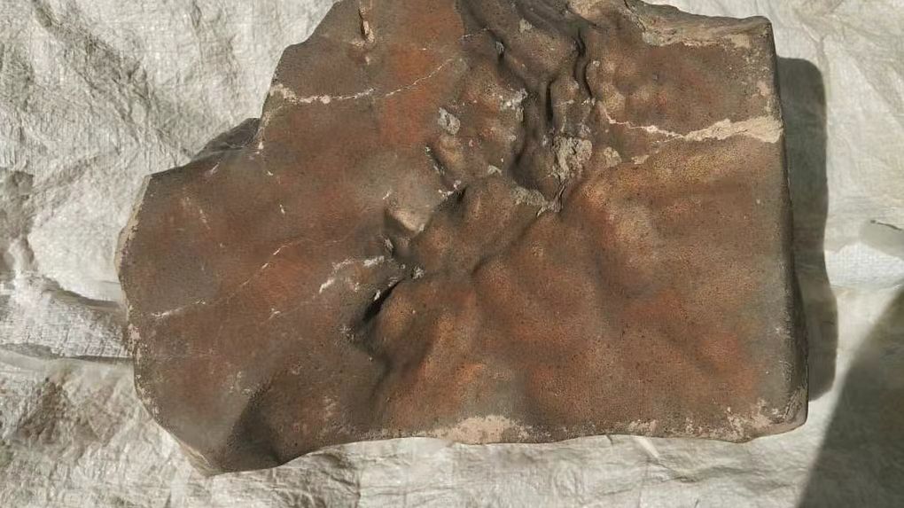 NWA 16788 - największy w historii meteoryt z Marsa
