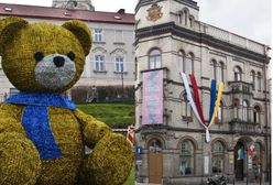 Afera o "ukrainizację" Przemyśla. "Nie poznaję naszego miasta. Normalni ludzie musieli stulić uszy"