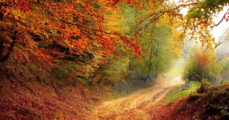 Prognoza pogody na październik. Temperatura mocno zaskoczy