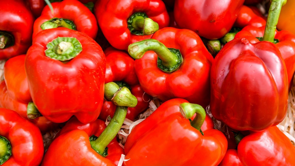 Producenci papryki ostrzegają przed strajkiem