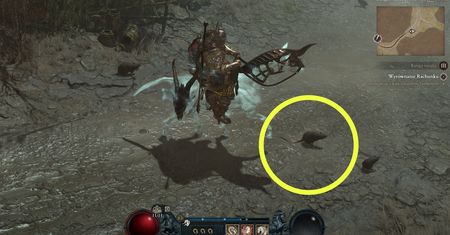 Podążaj za szczurem. Gracze Diablo 4 twierdzą, że to one przynoszą loot