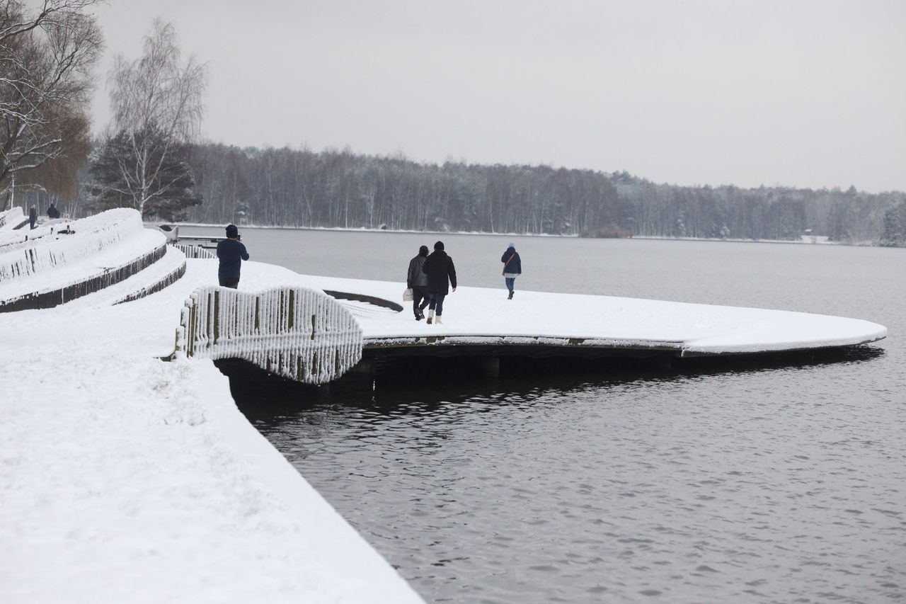Tychy: Magiczne Paprocany pod śniegiem. Zobaczcie zdjęcia z pierwszego ataku zimy