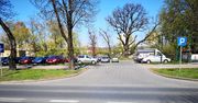 Konin: Dzisiaj dąb Zawiadowca ozdabia już tylko park... handlowy