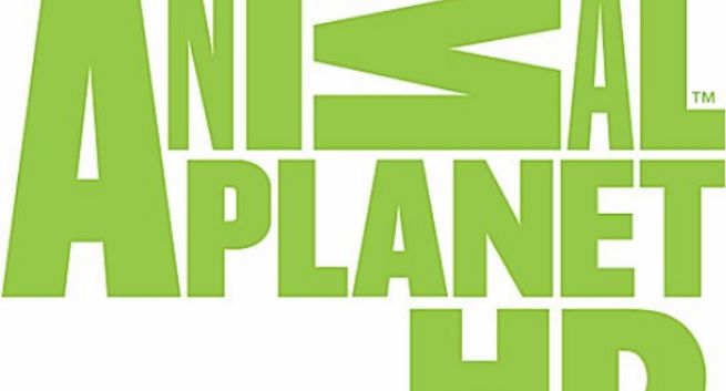 Animal Planet HD z osobną ramówką i oprawą w Polsce