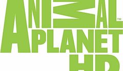 Animal Planet HD z osobną ramówką i oprawą w Polsce