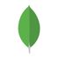 MongoDB Community Server icon