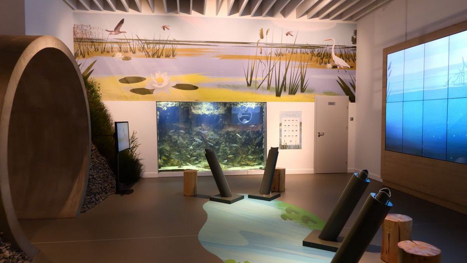 Sala Ośrodka Muzealno-Edukacyjnego Parku Narodowego Ujście Warty