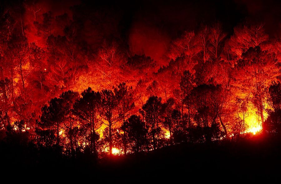 Fires in Hawaii. "The biggest natural disaster in history"