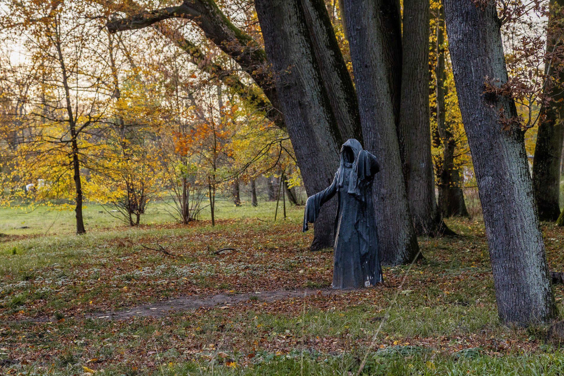 Park Zamkowy zachęca do spokojnych spacerów jesienią.