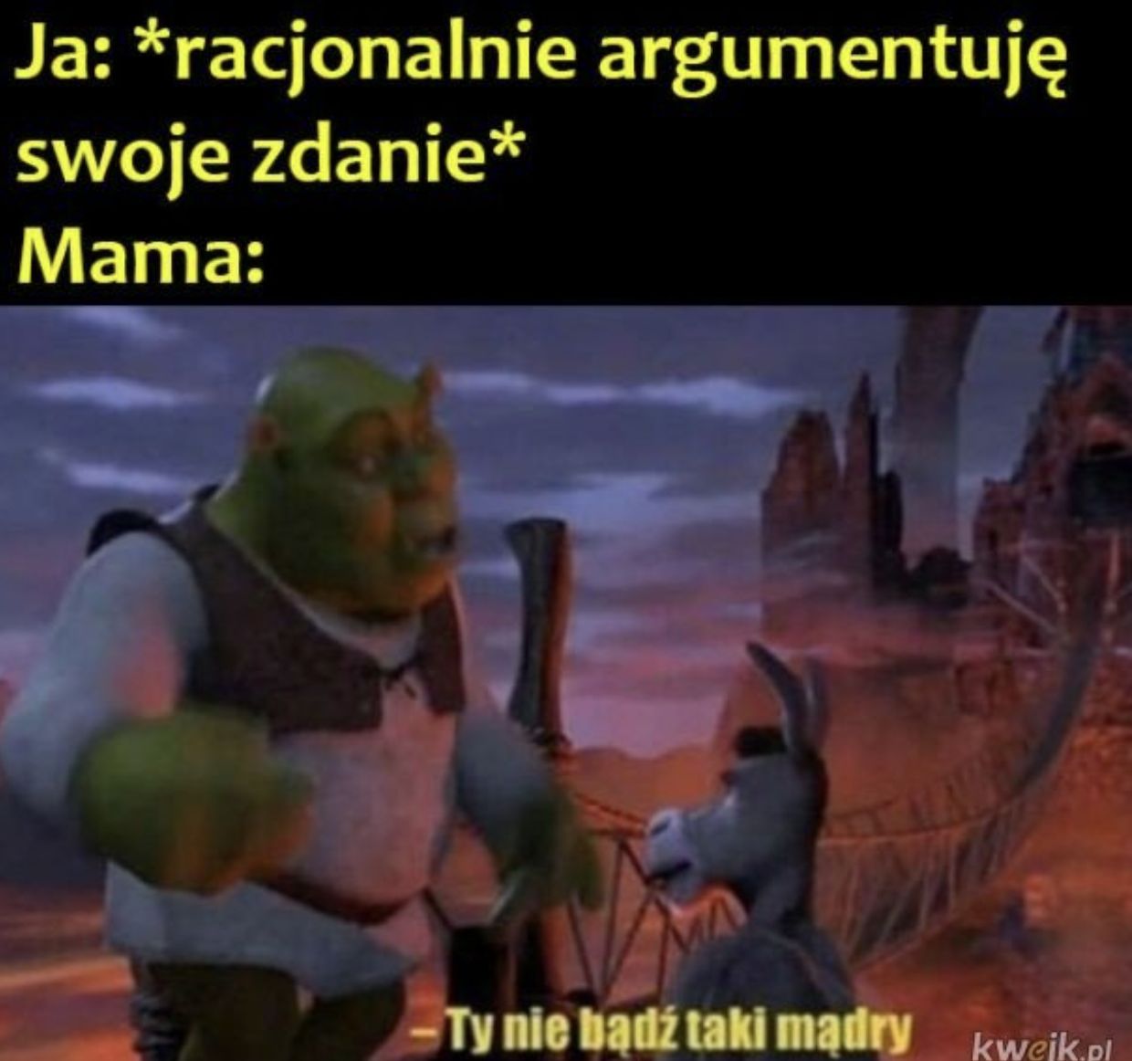 Memy na Dzień Matki