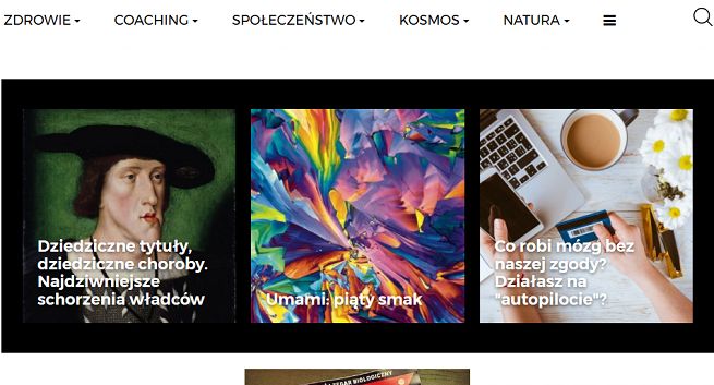 Focus.pl w nowej wersji, Łukasz Orbitowski felietonistą