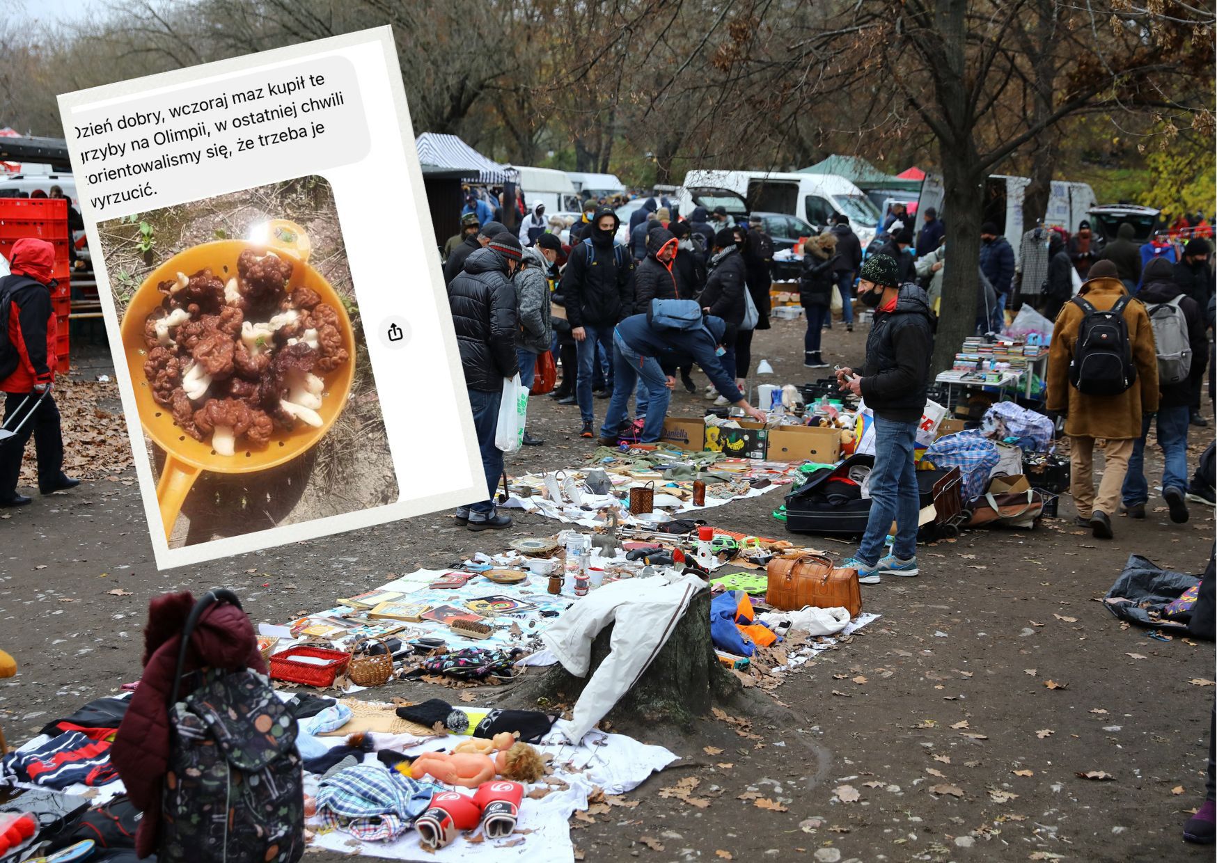 Kupiła trujące grzyby na bazarze Olimpia. 