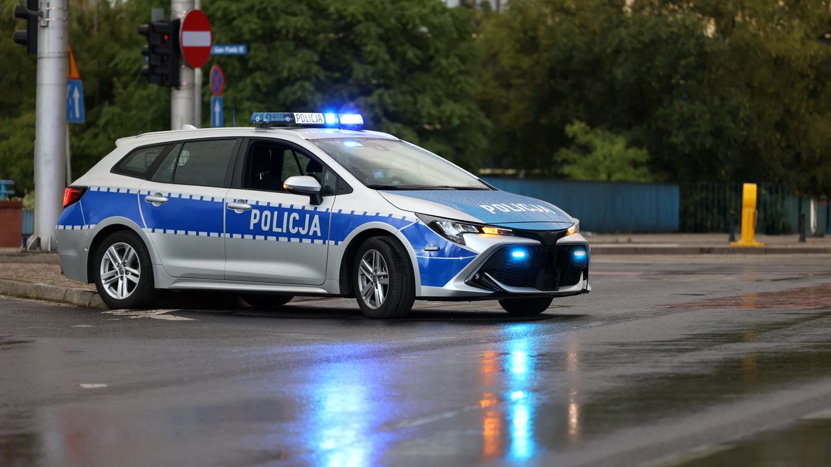 DAREK11
radiowóz, polska, policja, sygnalizator, dach, korek, ruch, drogowy, wieczór, noc, ciemno, mokro, mandat, kara, alarmowo, na sygnale, po deszczu, samochód, niebieskie, pomoc, na ulicy, policjantka, kamizelka, odblaskowa, blokada, ulicy, prewencja, policjant, covid-19, patrol nocny, miasto, regulacja ruchem, drogówka, gliny, czerwone, zdarzenie, stop, aresztowanie