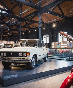 Nieoczywiste zwiedzanie Krakowa – w tym krakowskim muzeum odkryjesz historię miast i jego mieszkańców
