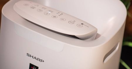 Plasmacluster Ion 25000 - jonowy sposób na lepsze powietrze