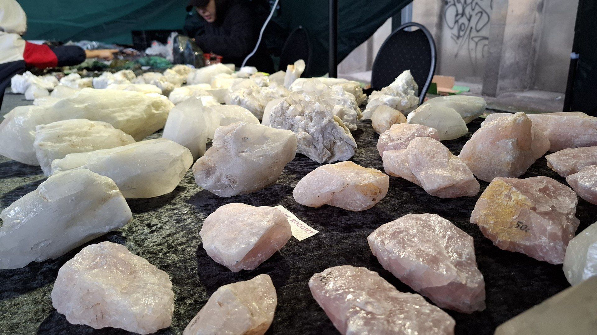 Wyjątkowa Giełda Minerałów pod Platanami we Wrocławiu
