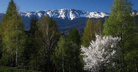 Beskidy. W górach dwie pory roku. W dolinach wiosna, w wyższych partiach zima