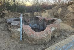 Niemcy pod wrażeniem odkrycia polskich archeologów. "Misterny projekt"